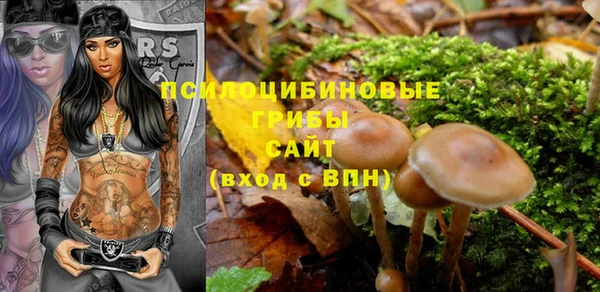 PSILOCYBIN Балахна