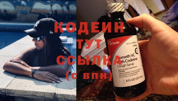 дживик Белокуриха