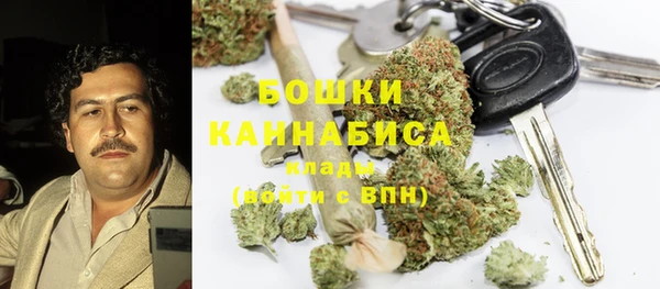 PSILOCYBIN Балахна
