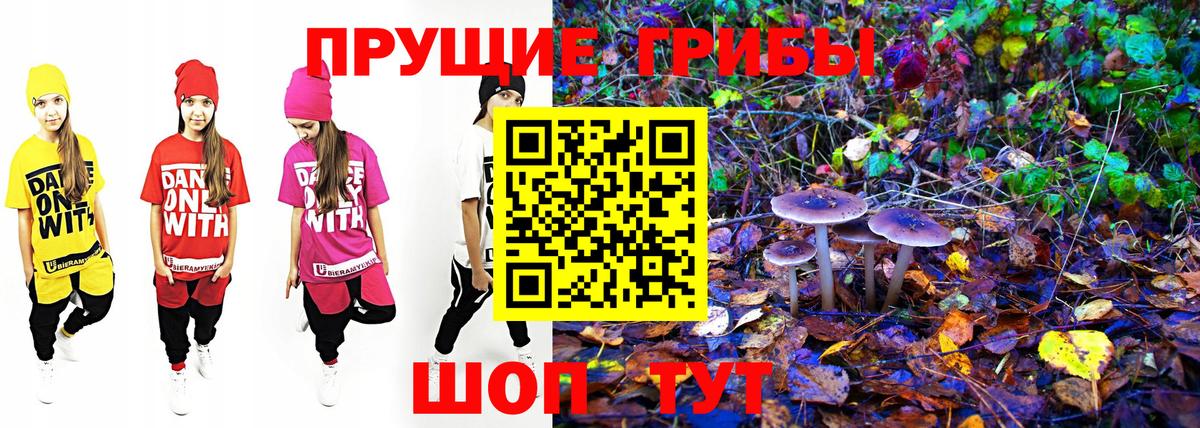 Меф кристаллы  Кокаин  Конопля  Воркута  Гашиш  Вход с VPN 