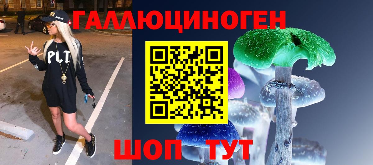 Псилоцибиновые грибы Magic Shrooms  Воркута  купить закладку  Псилоцибиновые грибы Psilocybe 