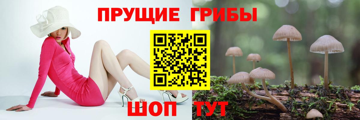 где найти   Вход с VPN  Воркута  Галлюциногенные грибы Cubensis 